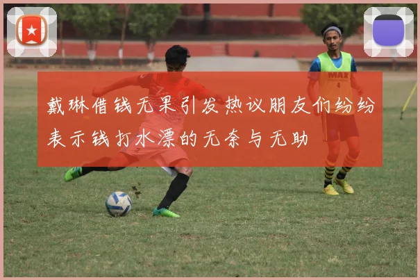 戴琳借钱无果引发热议朋友们纷纷表示钱打水漂的无奈与无助