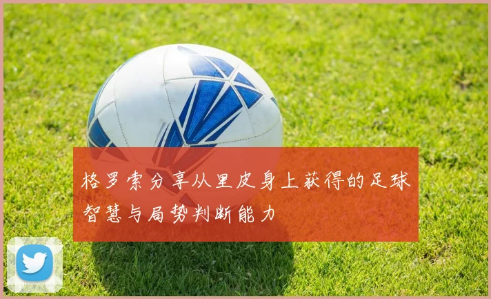 格罗索分享从里皮身上获得的足球智慧与局势判断能力