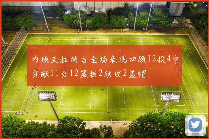 内线支柱纳吉全场表现回顾12投4中贡献11分12篮板2助攻2盖帽