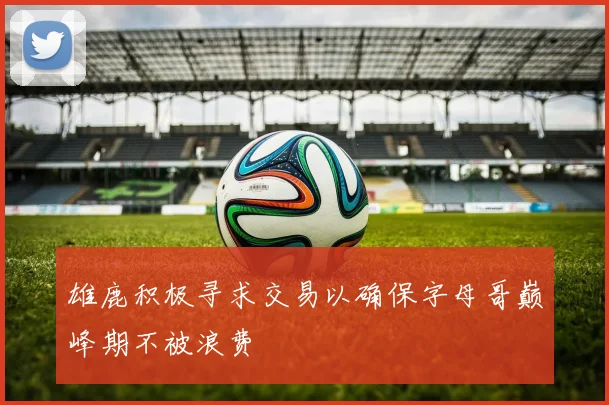 雄鹿积极寻求交易以确保字母哥巅峰期不被浪费