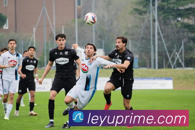 乐鱼体育发展历程